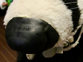 Realistic Badger Nose (Final Product)